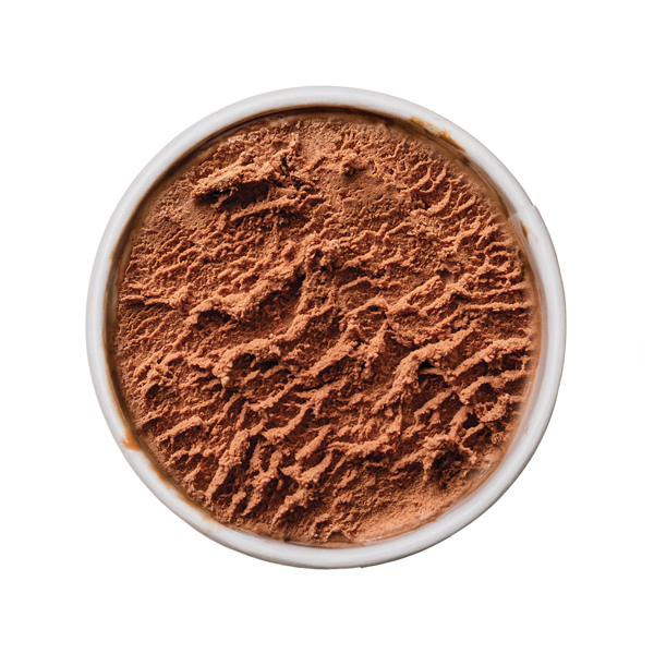 Melted-Chocolate-Molly-Moons
